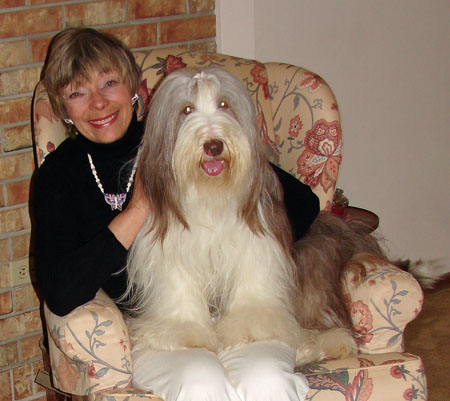 Briana, a brown bearded Collie